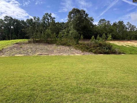 1079 Nazareth Road Lexington SC 29073