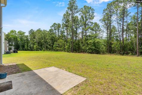 117 Heather Ridge Drive Gaston SC 29053