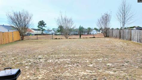 1175 Coralbean Way Columbia SC 29229