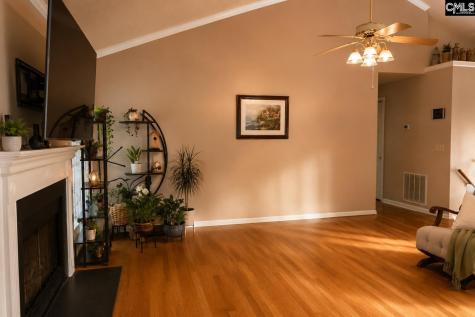 217 Stockmoor Road Columbia SC 29212