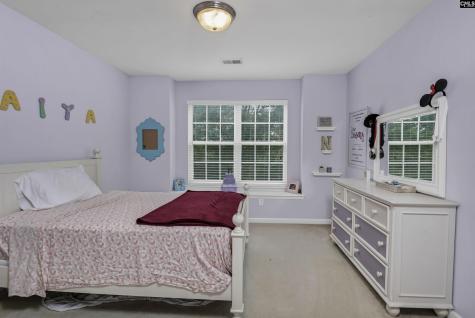 238 Longtown Place Drive Columbia SC 29229