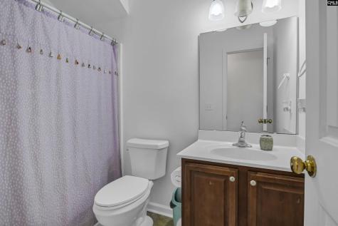 238 Longtown Place Drive Columbia SC 29229