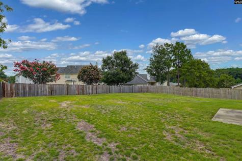 238 Longtown Place Drive Columbia SC 29229