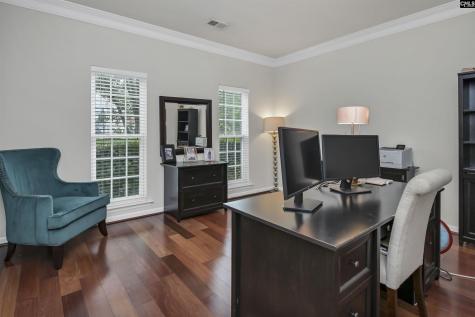 238 Longtown Place Drive Columbia SC 29229