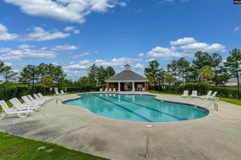 238 Longtown Place Drive Columbia SC 29229