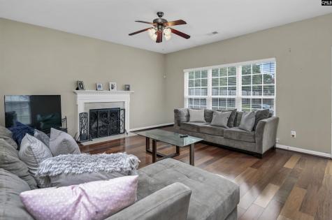 238 Longtown Place Drive Columbia SC 29229