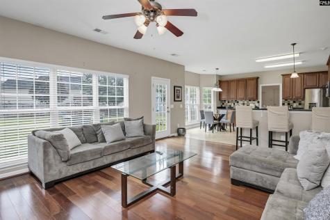 238 Longtown Place Drive Columbia SC 29229