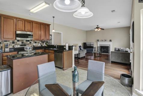 238 Longtown Place Drive Columbia SC 29229