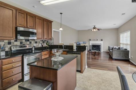 238 Longtown Place Drive Columbia SC 29229