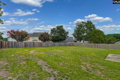 238 Longtown Place Drive Columbia SC 29229