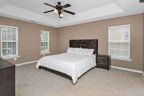 238 Longtown Place Drive Columbia SC 29229