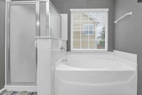 238 Longtown Place Drive Columbia SC 29229