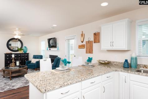 224 Kingsley Drive Blythewood SC 29016