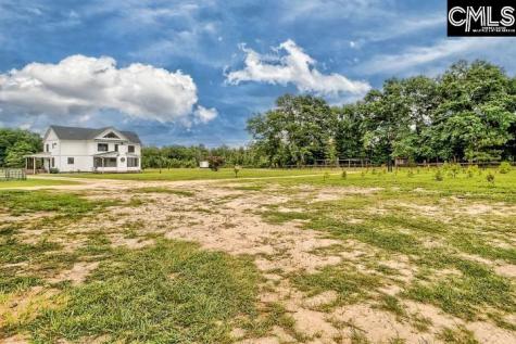 172 Eugene Neese Lane Swansea SC 29160-9152
