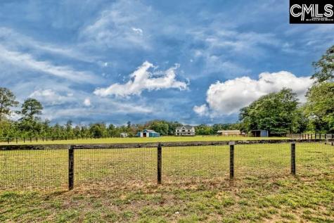 172 Eugene Neese Lane Swansea SC 29160-9152