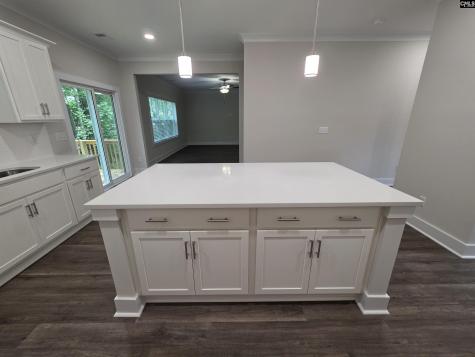 205 Quiet Side Court Blythewood SC 29016-9458