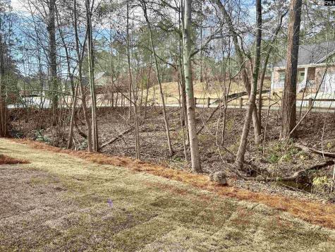205 Quiet Side Court Blythewood SC 29016-9458