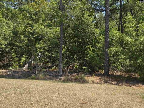 312 Reedmace Court Lexington SC 29072