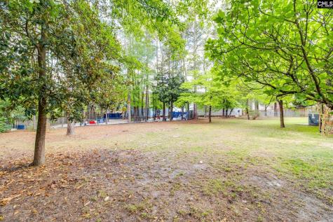 29 Constable Lane Columbia SC 29223