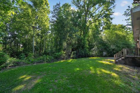 408 Todd Branch Drive Columbia SC 29223
