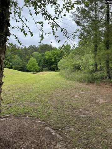 832 Chablis Drive Columbia SC 29210-3524
