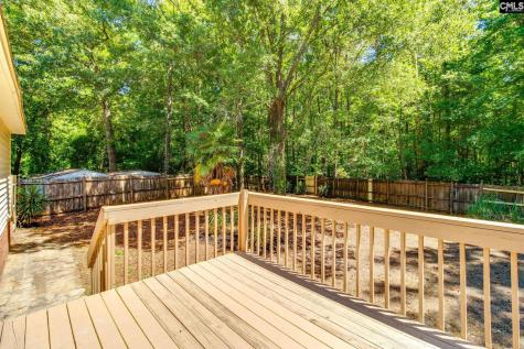 16 Seaford Court Irmo SC 29063