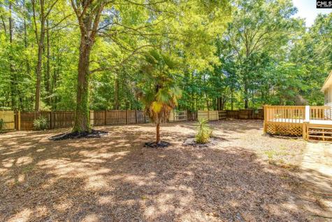16 Seaford Court Irmo SC 29063