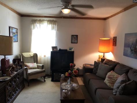 1005 Lesane Pressley Lynchburg SC 29080