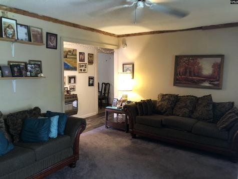 1005 Lesane Pressley Lynchburg SC 29080