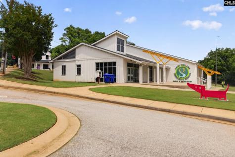 208 Spartanburg Street Greenville SC 29607