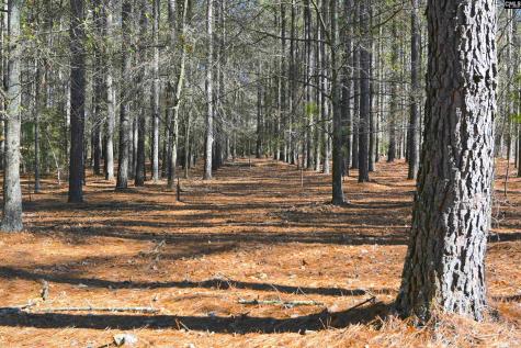 707 Mount Ebal Road Batesburg SC 29006