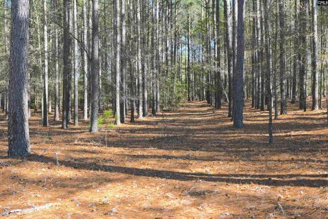 707 Mount Ebal Road Batesburg SC 29006