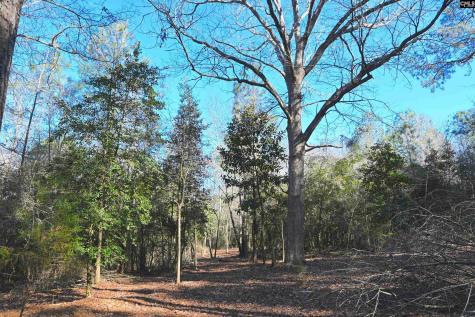 707 Mount Ebal Road Batesburg SC 29006