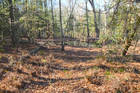 707 Mount Ebal Road Batesburg SC 29006