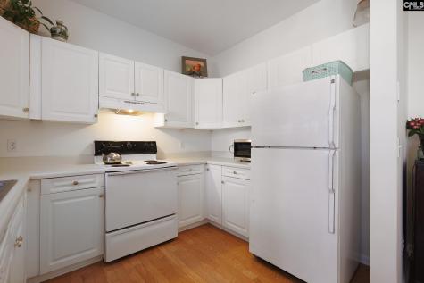 5 Tall Palmetto Lane Lexington SC 29072