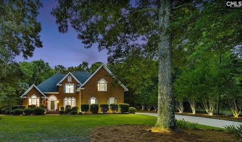214 Rolling Creek Circle Irmo SC 29063