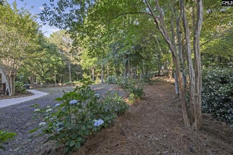 214 Rolling Creek Circle Irmo SC 29063
