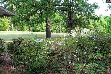 1208 Marina Road Irmo SC 29063