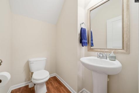204 Saints Creek Lane Irmo SC 29063