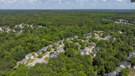 204 Saints Creek Lane Irmo SC 29063