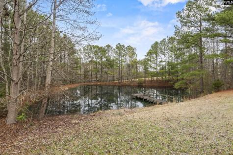 803 Langford Road Blythewood SC 29016