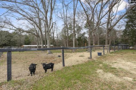 803 Langford Road Blythewood SC 29016