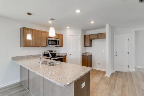 230 Laurinton Farms Drive Hopkins SC 29061