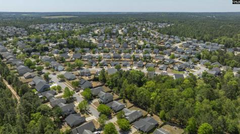 118 Harvest Grove Lane Lexington SC 29072-6953