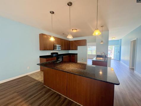 290 Baneberry Loop Lexington SC 29073