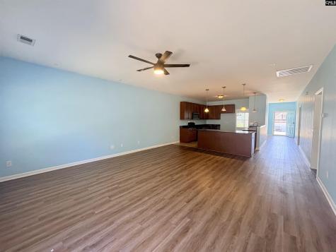 290 Baneberry Loop Lexington SC 29073