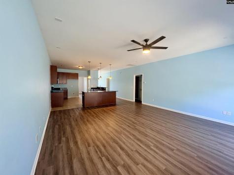 290 Baneberry Loop Lexington SC 29073