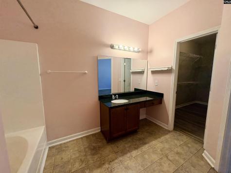 290 Baneberry Loop Lexington SC 29073