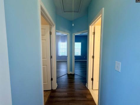 290 Baneberry Loop Lexington SC 29073