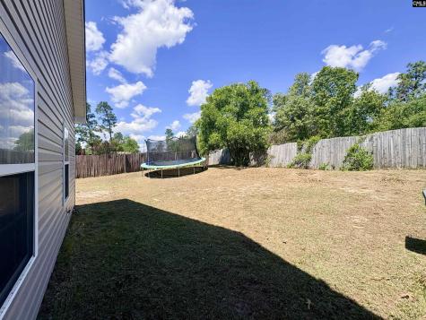 290 Baneberry Loop Lexington SC 29073
